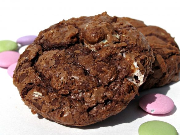  Shiny Flourless Chocolate Cookie closeup. 
