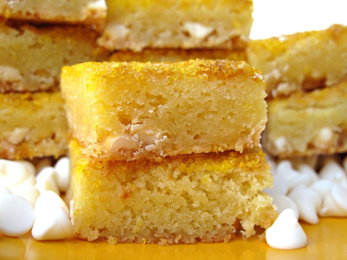 Two lemon bars closeup.