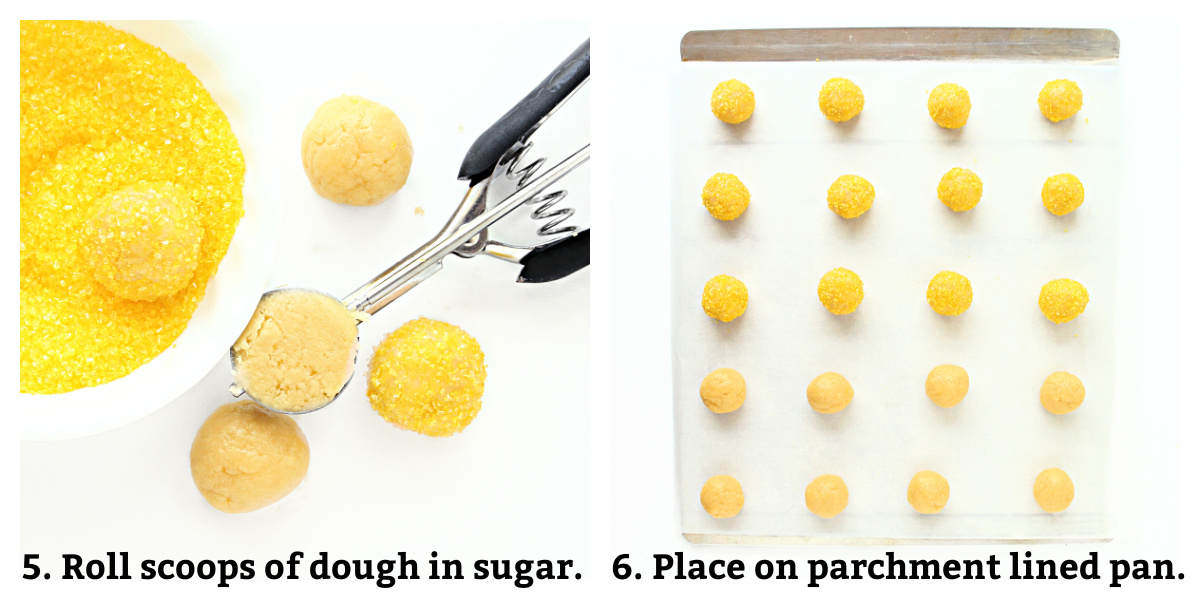 Instructions labeled: scoop dough and roll in sugar, place on parchment lined pan.