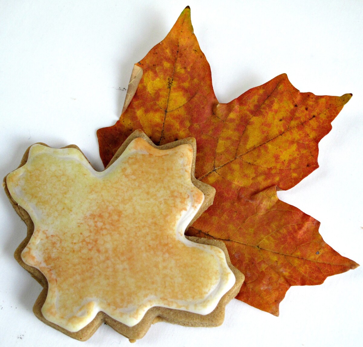 Maple leaf cookie with real maple leaf.
