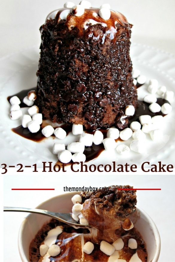  Hot Chocolate Mug Cake pinnable image with cake on plate at top and cake in paper cup on bottom