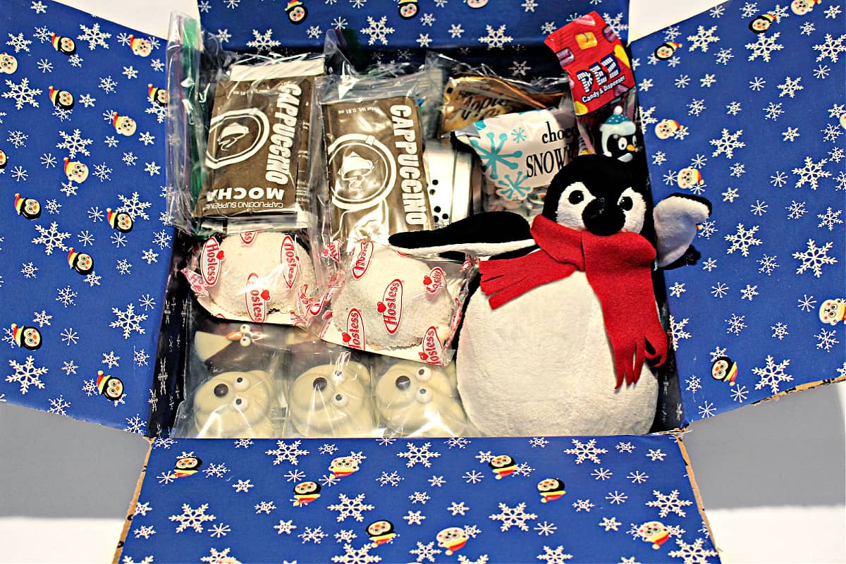 Care Package box packed with toy penguin, cookies, hot chocolate and candy.