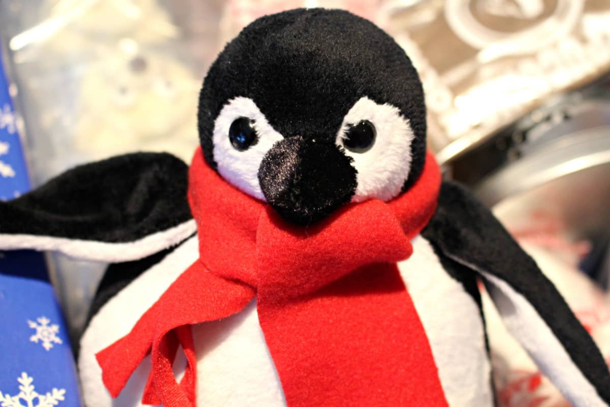 Toy stuffed penguin.