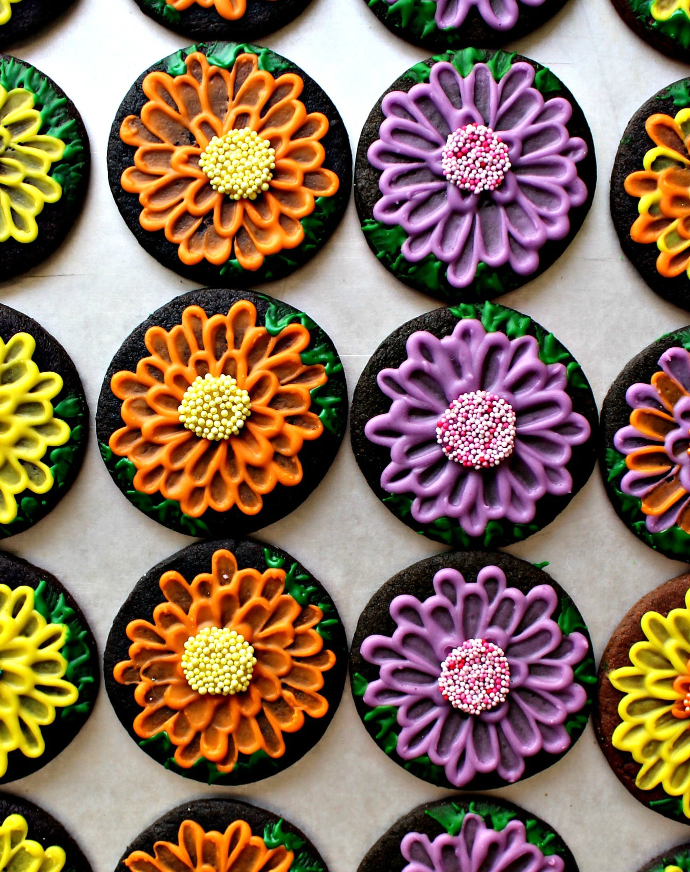 Chocolate sugar cookies decorated with orange, yellow, and purple icing to look like mums.