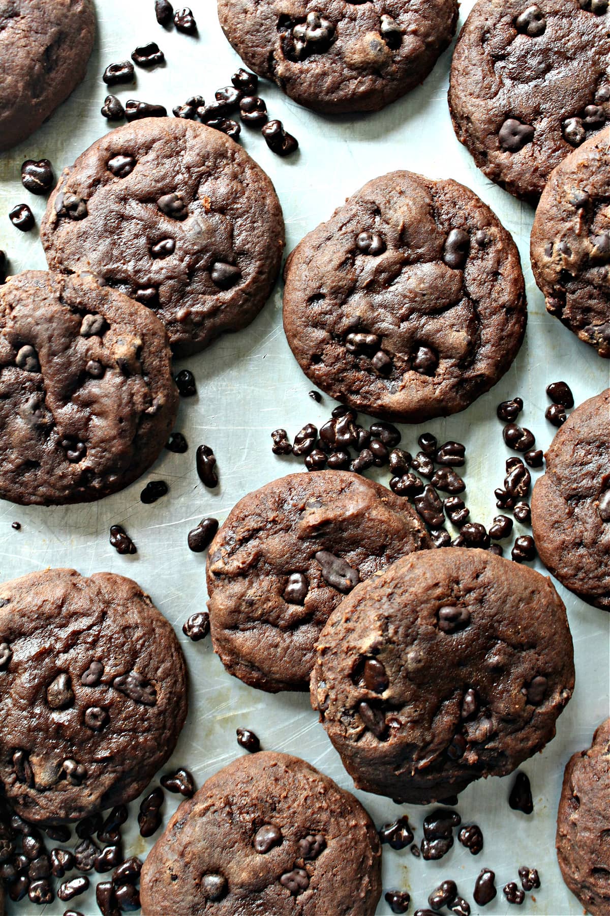 Chocolate cookies sprinkled with chocolate covered cocao nibs.