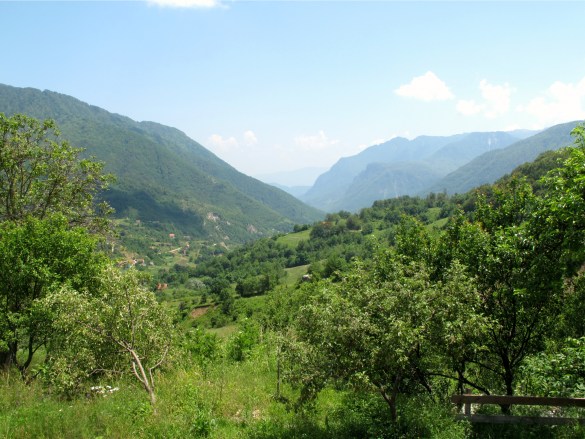 Bosnia Herzegovina Travels