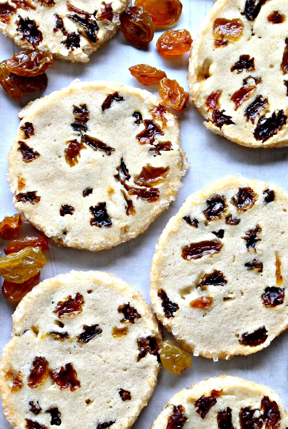 Butter cookies speckled with raisins.