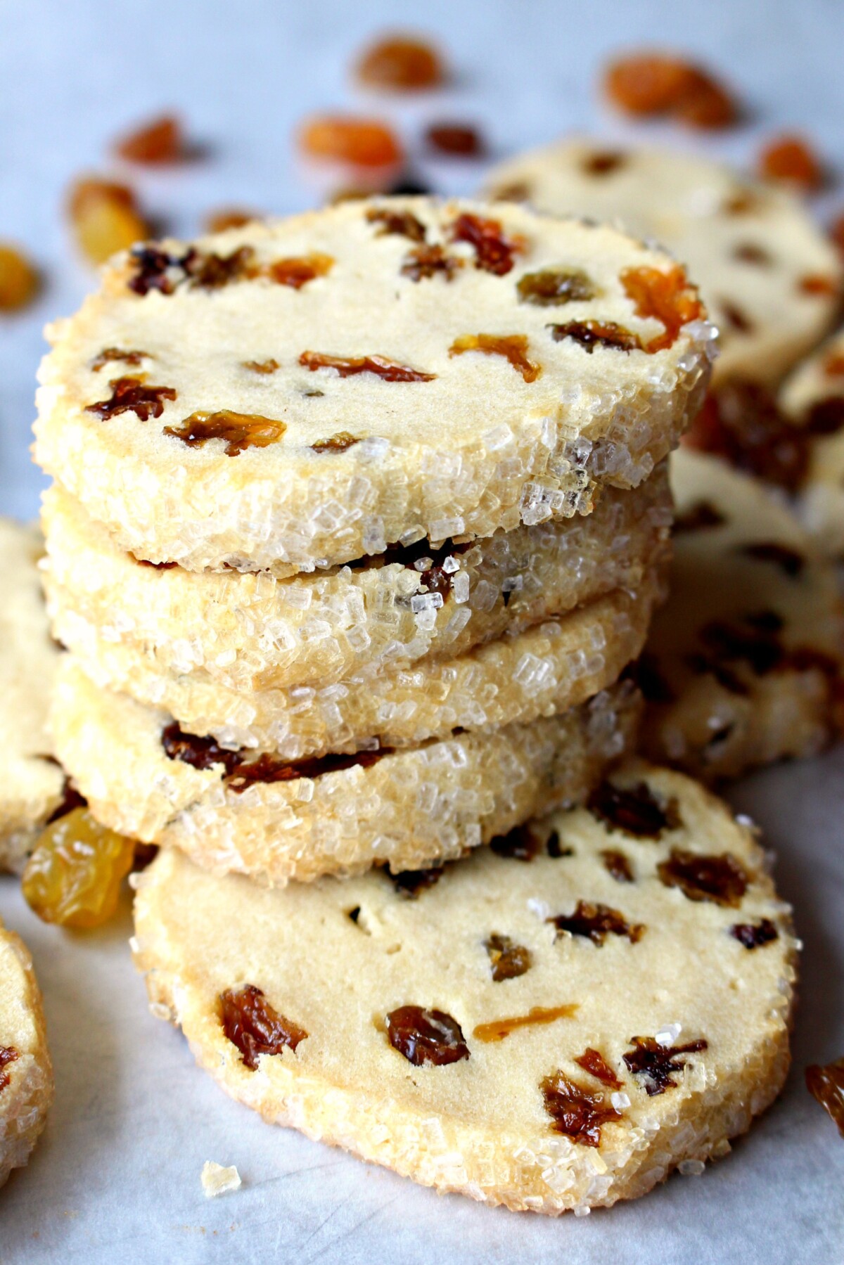 A stack of cookies shown from the side.