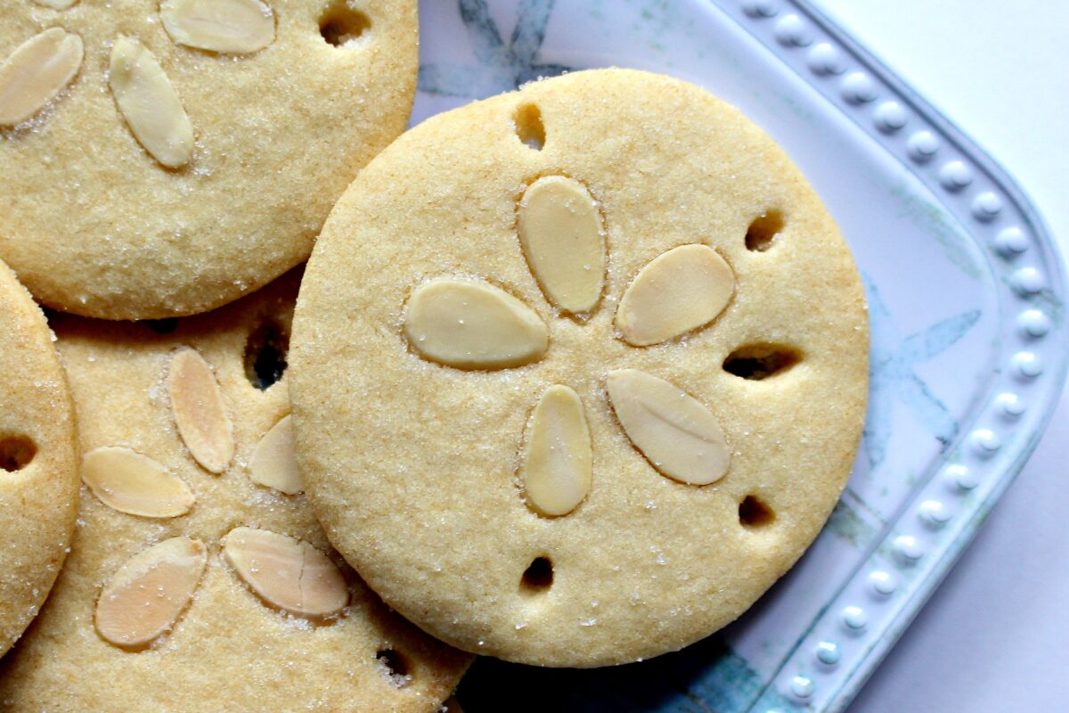Closeup Sand Dollar Cookie decorated with sliced almonds and holes to look like real sand dollars.