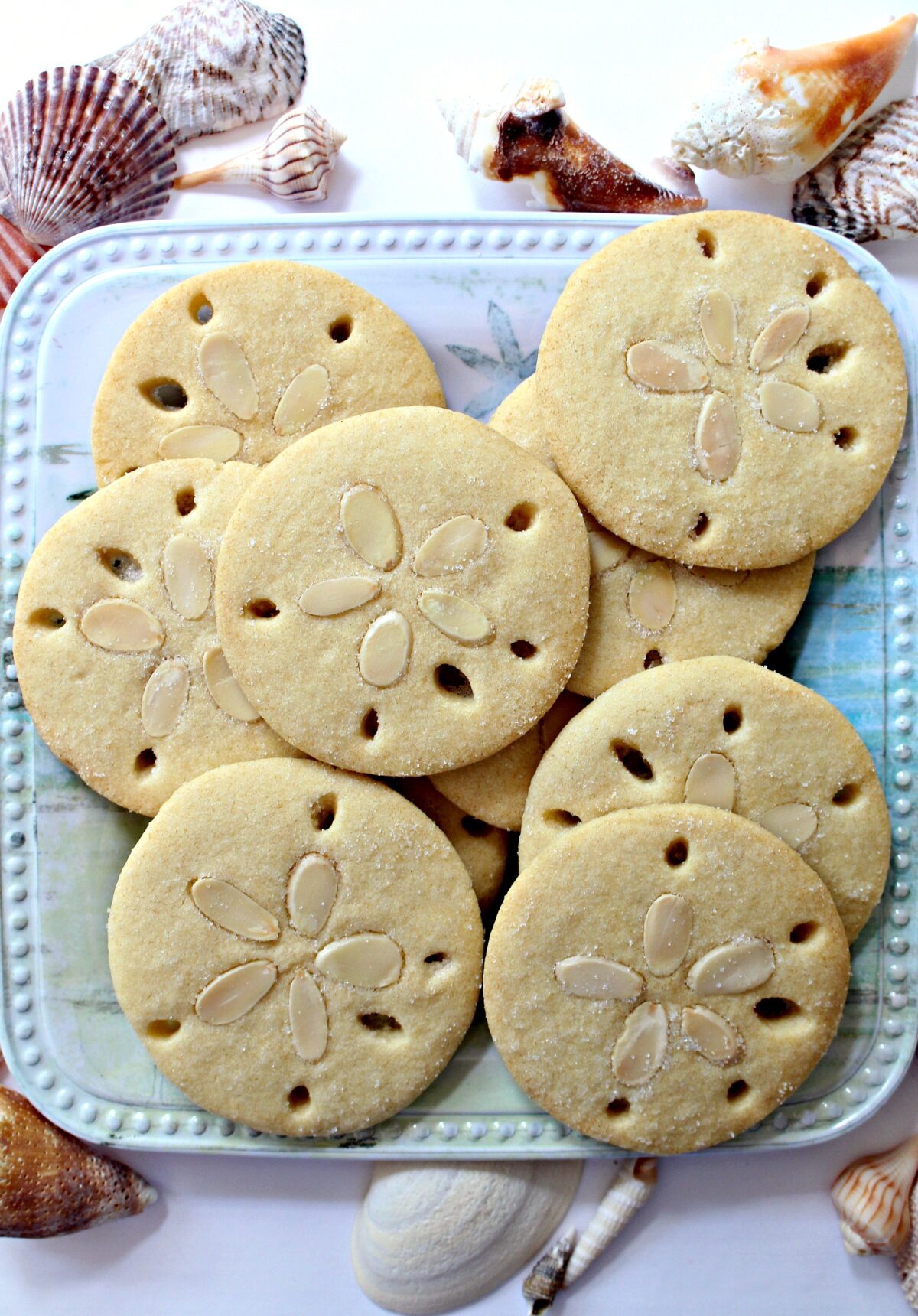 Sand Dollar Cookies that look like real sand dollars with almond slices in the centers.