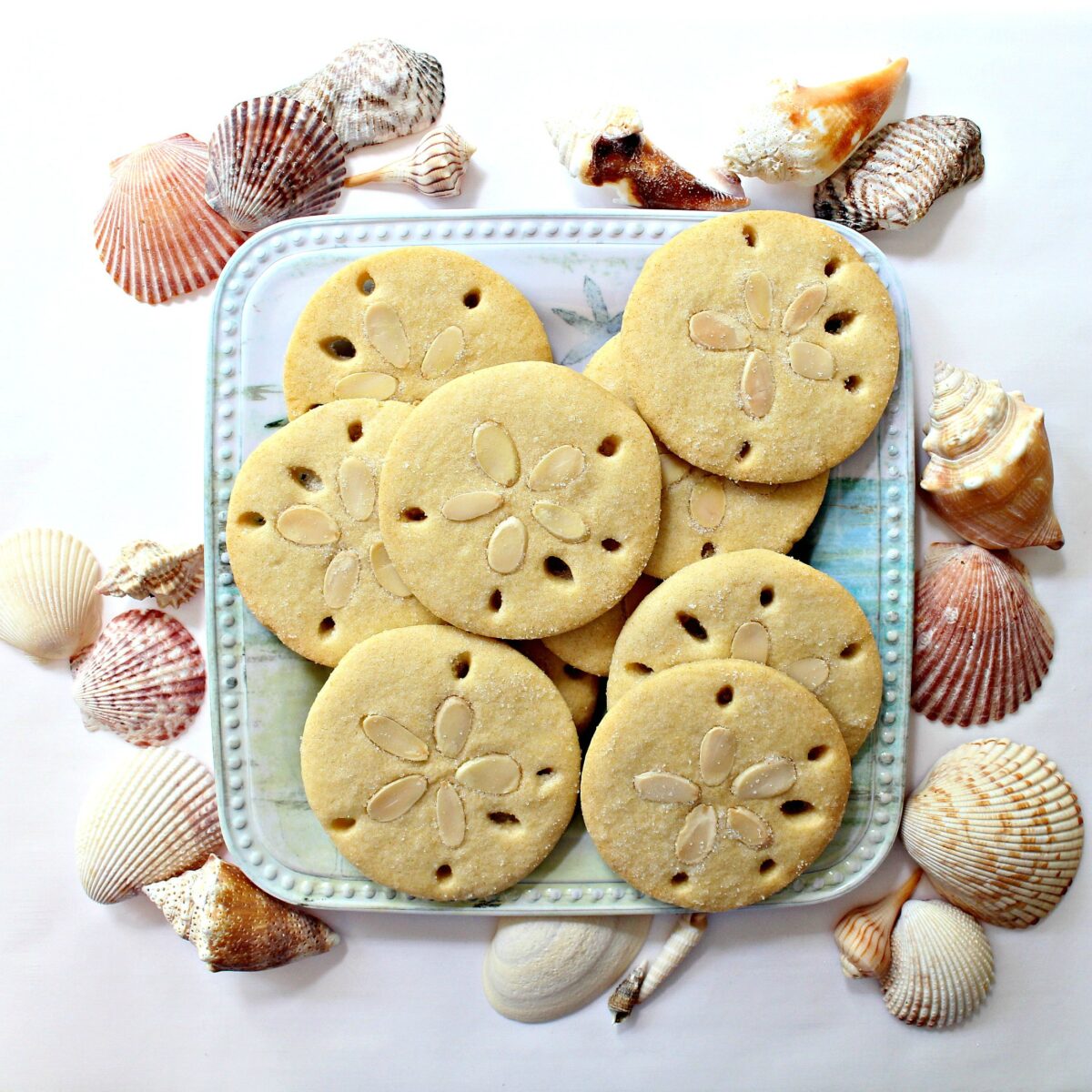 Plate of cookies surrounded by sea shells.