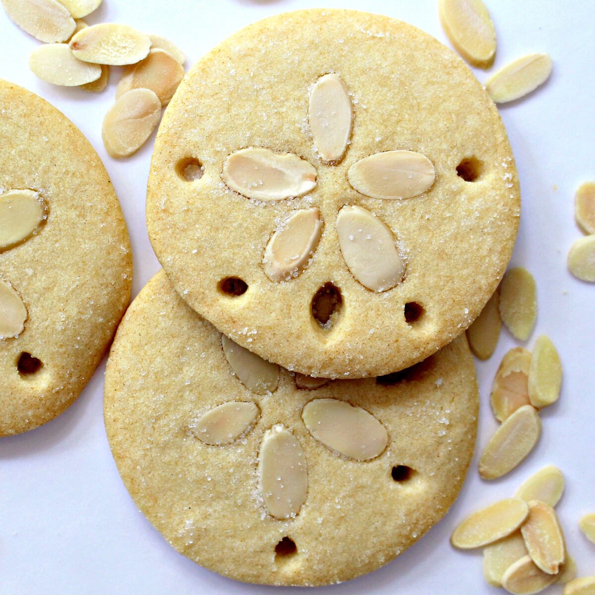 Closeup of Almond Sand Dollar Cookies decorated with almonds and holes.