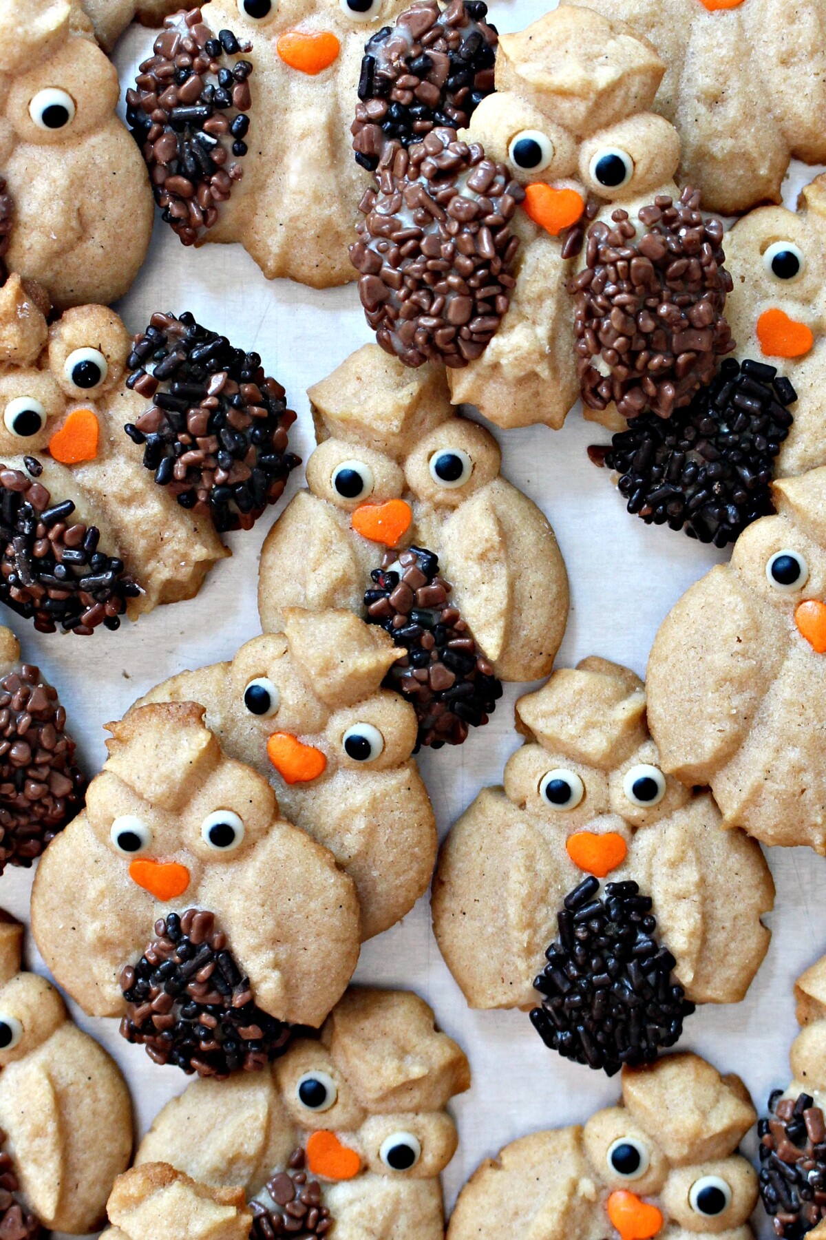 Closeup of decorated Spritz Owl Cookies.