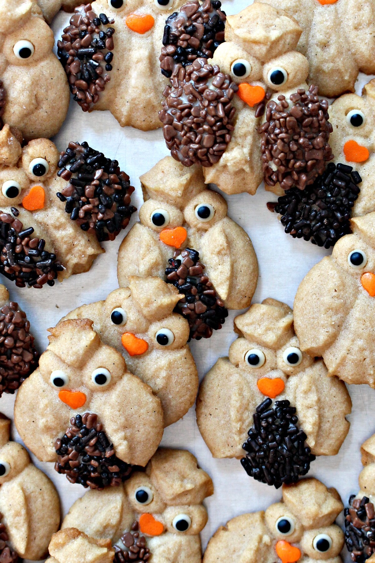 Cinnamon Spritz Owl Cookies - The Monday Box