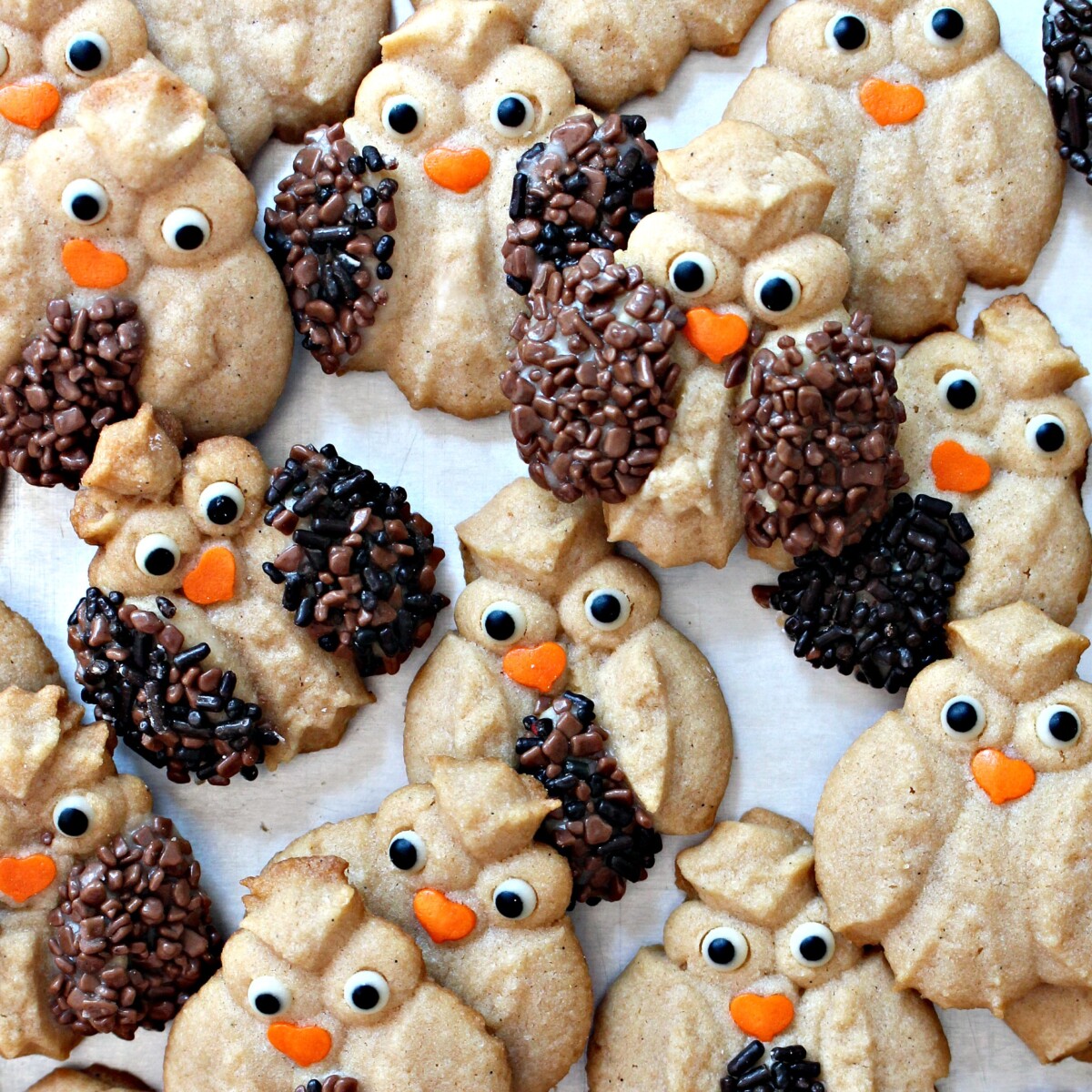 Closeup of sprinkle decorated Cinnamon Spritz Owl Cookies.