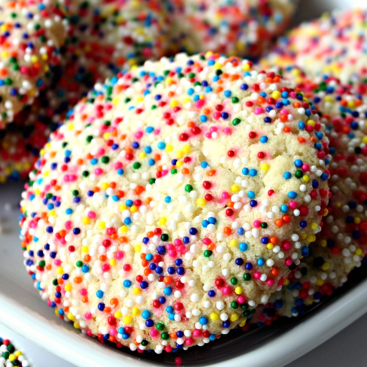 Closeup of a cookies coated in rainbow colored nonpareil sprinkles.