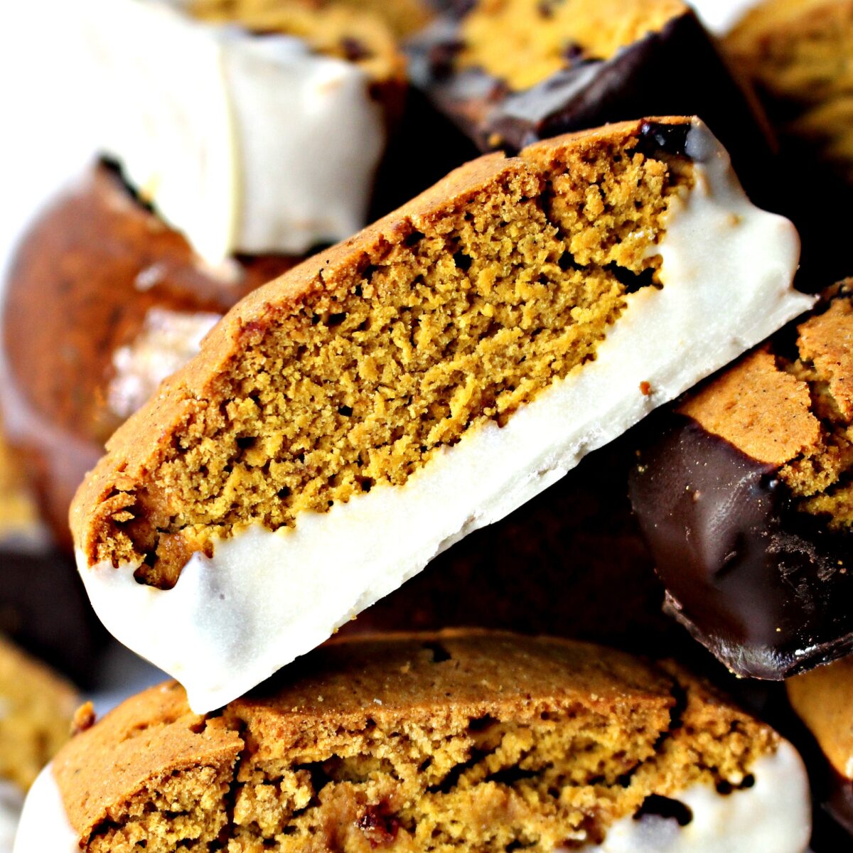 Close up of a biscotti showing the dense, crisp and white chocolate dipped bottom.