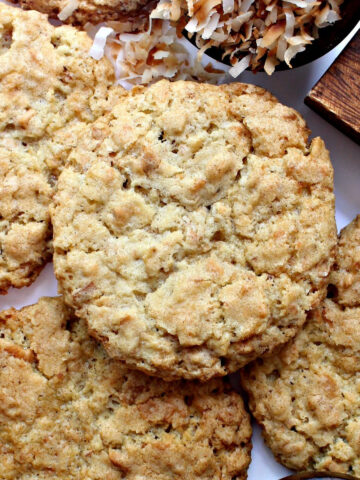Thin crunchy coconut cookie with crackled top.