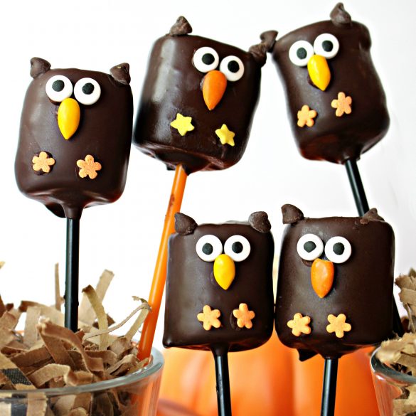 Owl Marshmallow Pops are a delicious treat and an adorable party favor, owl themed centerpiece, or care package surprise. Making owl marshmallow pops is fun and easy, a "hoot" for the whole family!| themondaybox.com #themondaybox#halloween #halloweentreats #owl #owls #partyfavors #showerfavors #chocolatecoveredmarshmallows Five chocolate covered marshmallows decorated like owls