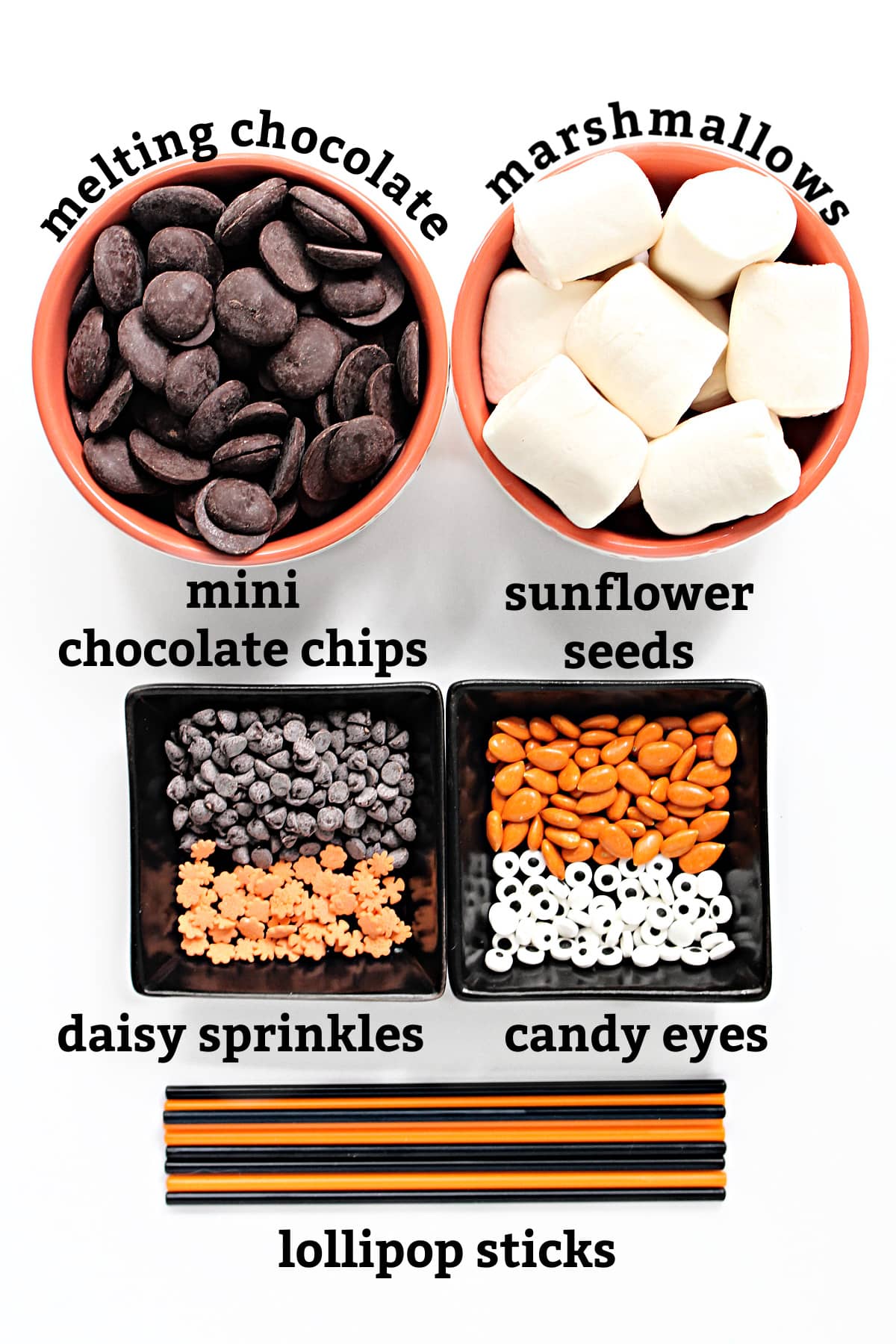 Labeled recipe ingredients: melting chocolate, marshmallows, mini chocolate chips, sunflower seeds,  sprinkles, candy eyes, lollipop sticks.