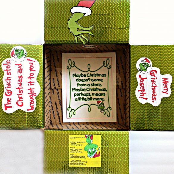 Boldfaced Goods - Mr Grinch Ribbon – Quirky Crate