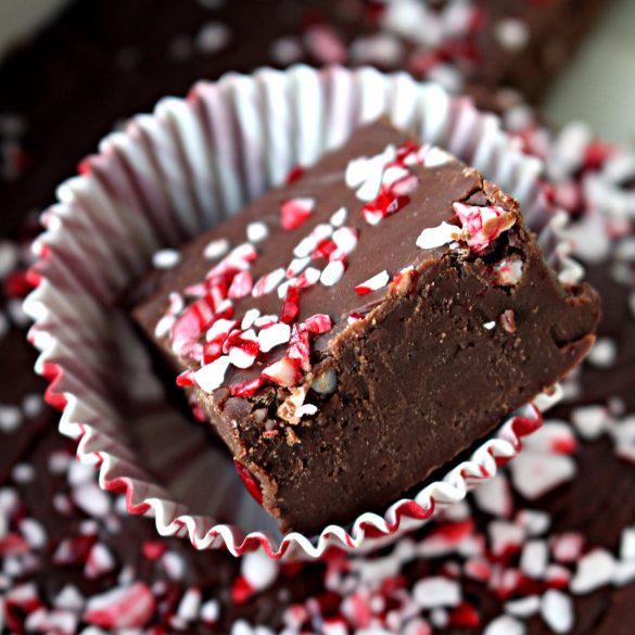 A piece of Peppermint Fudge topped with crushed peppermint in a red and white candy cup.