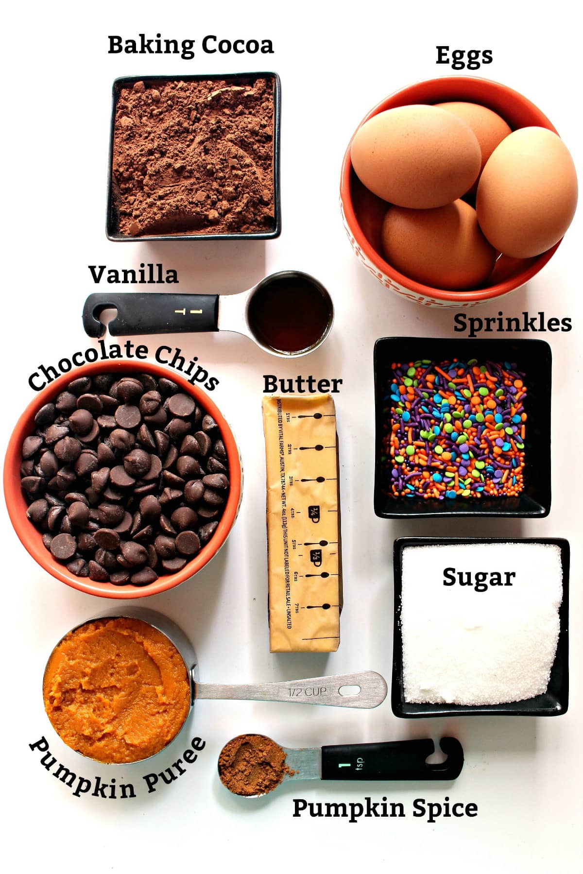 Labeled ingredients; cocoa, vanilla, eggs, chocolate chips, butter, sugar, pumpkin puree, pumpkin spice, sprinkles.