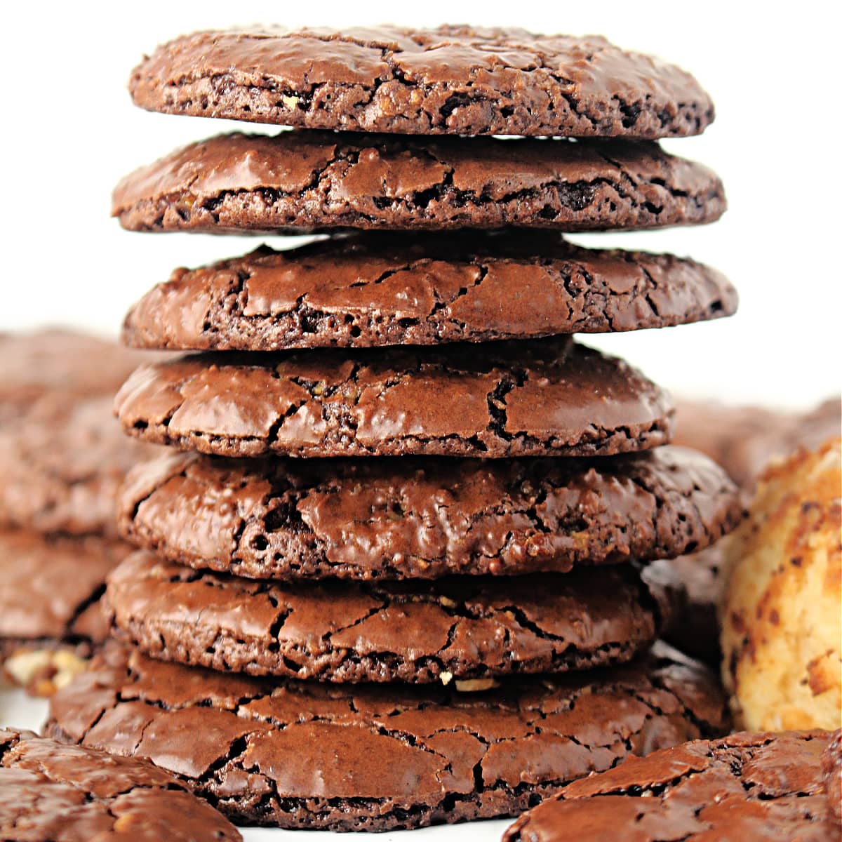 Stack of thin chocolate cookies with shiny crackled tops and crisp edges.
