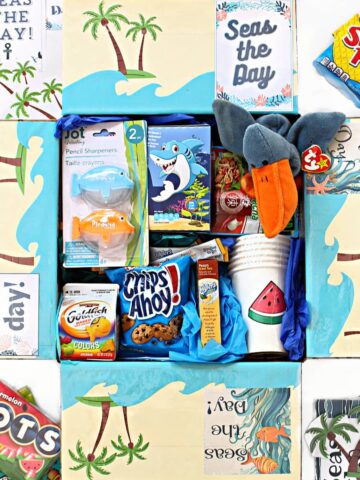 Care Package filled and decorated with a Seas the Day beach theme.