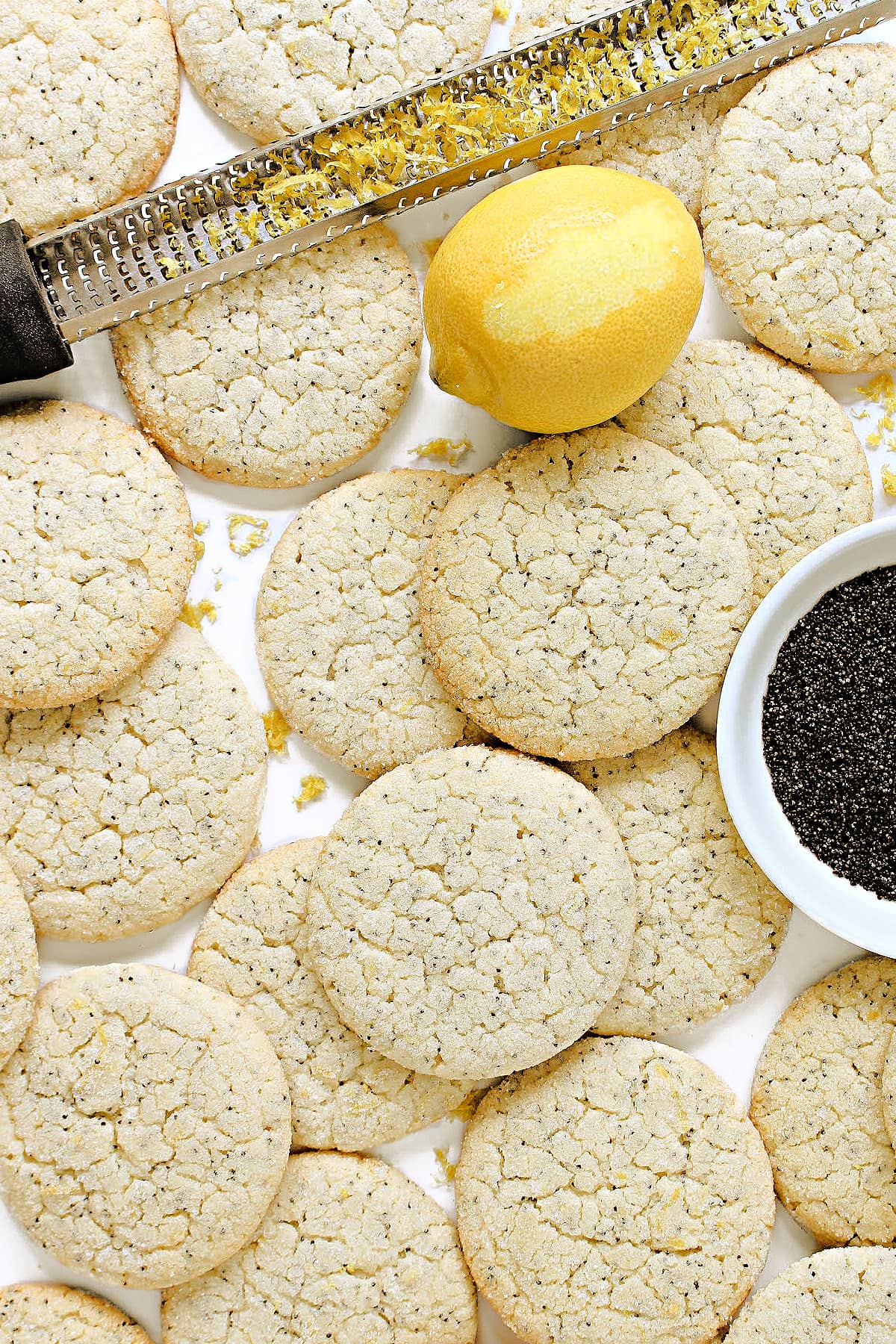 Flat, round lemon cookies with crackled tops speckled with poppy seeds in the dough.