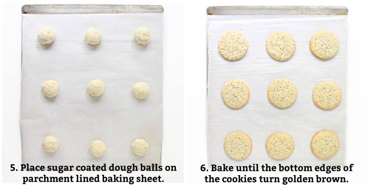 Instructions 5-6: Place sugar coated dough balls on parchment lined baking sheet and bake until bottom edges of cookies are golden brown.